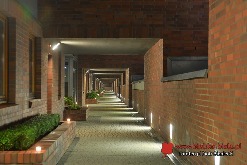 Widok na miasto w cenie - galeria
