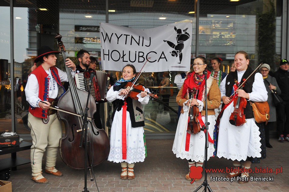 Wycinali na ulicy