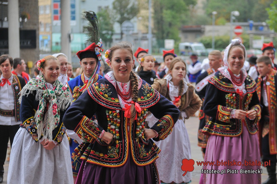 Wycinali na ulicy
