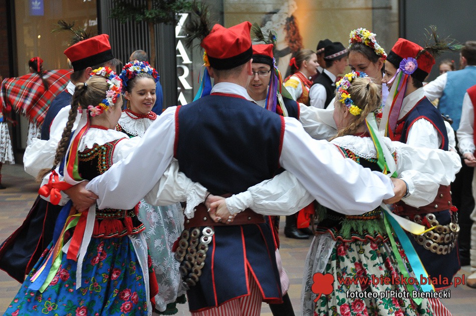 Wycinali na ulicy