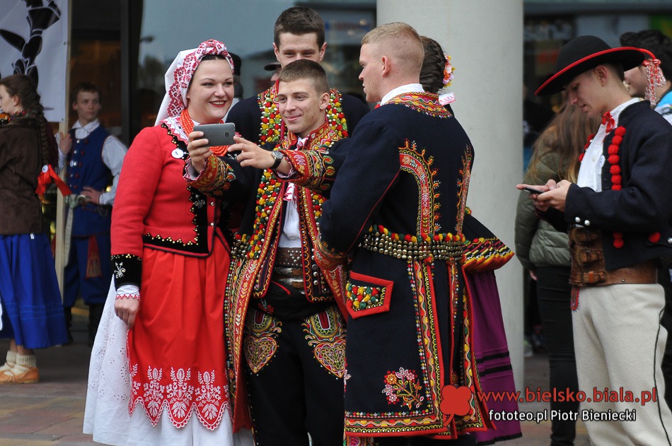Wycinali na ulicy