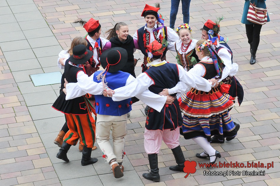 Wycinali na ulicy