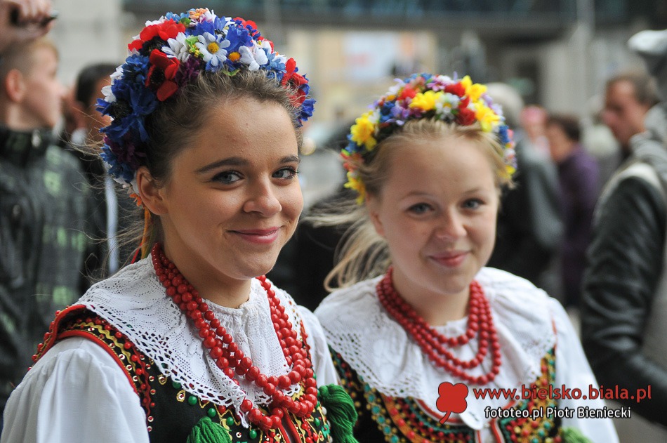 Wycinali na ulicy