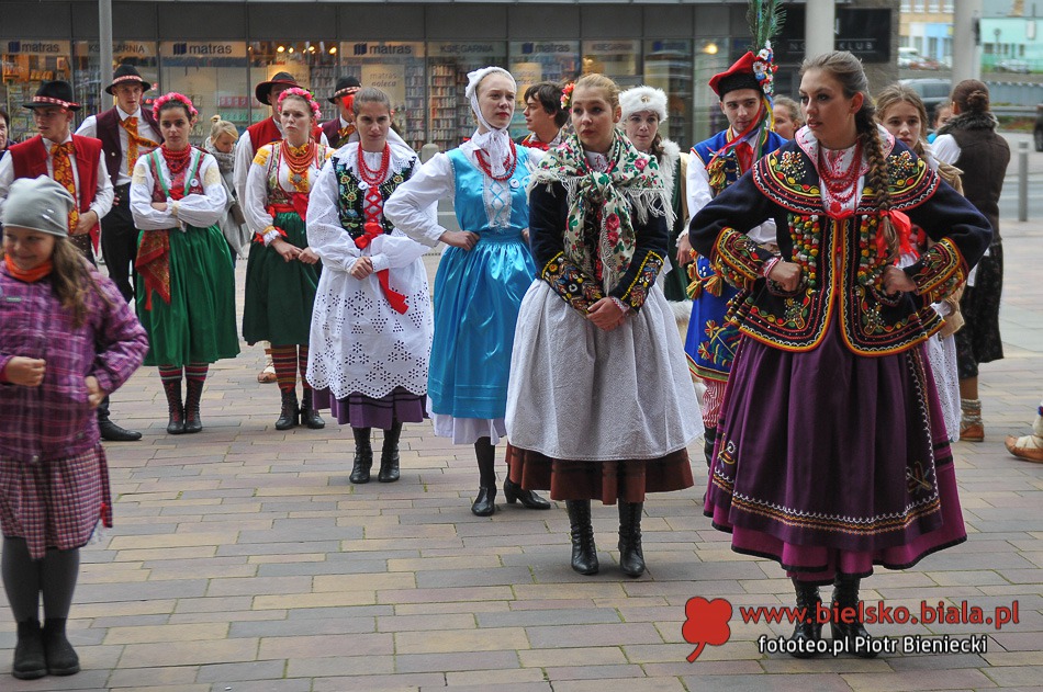 Wycinali na ulicy