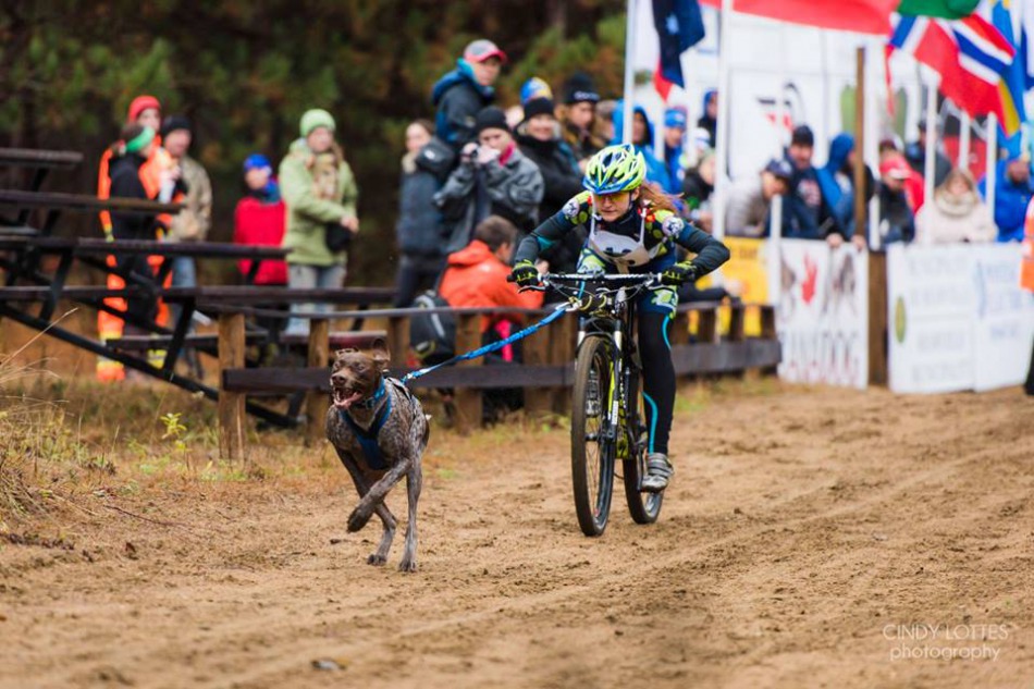 Triumf na pożyczonym rowerze - foto