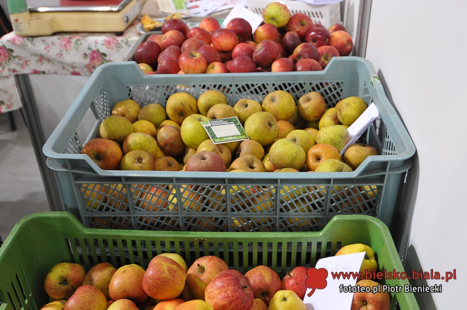 Burza smaków i zapachów