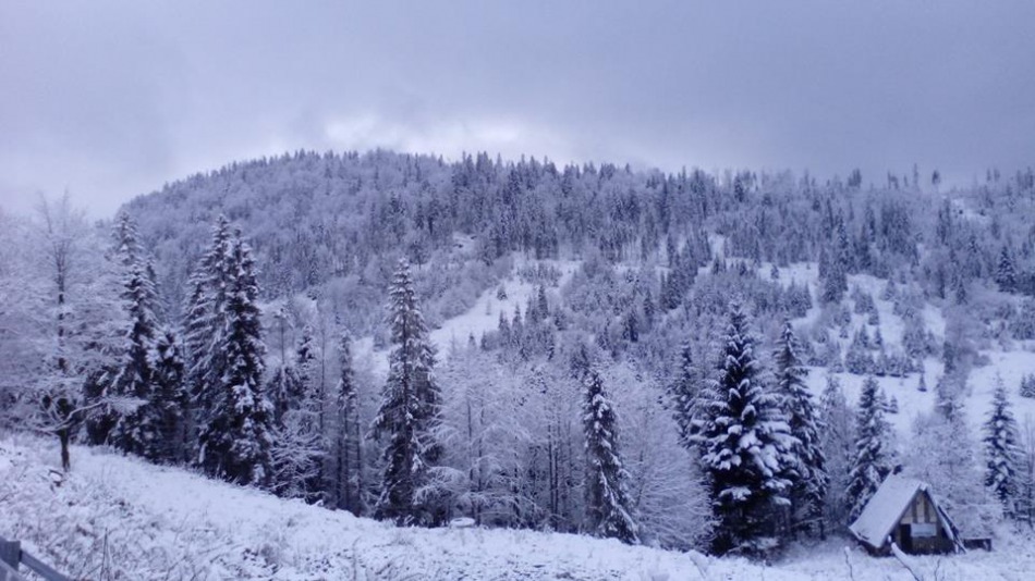 Zima wróciła w Beskidy - foto