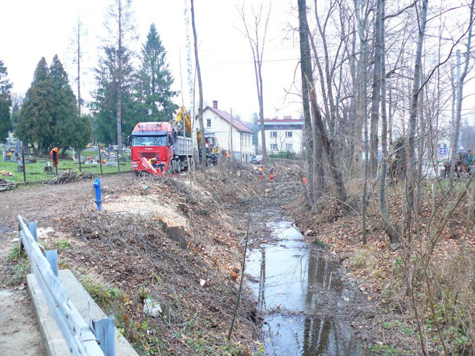Wycinka na skarpach potoku - foto