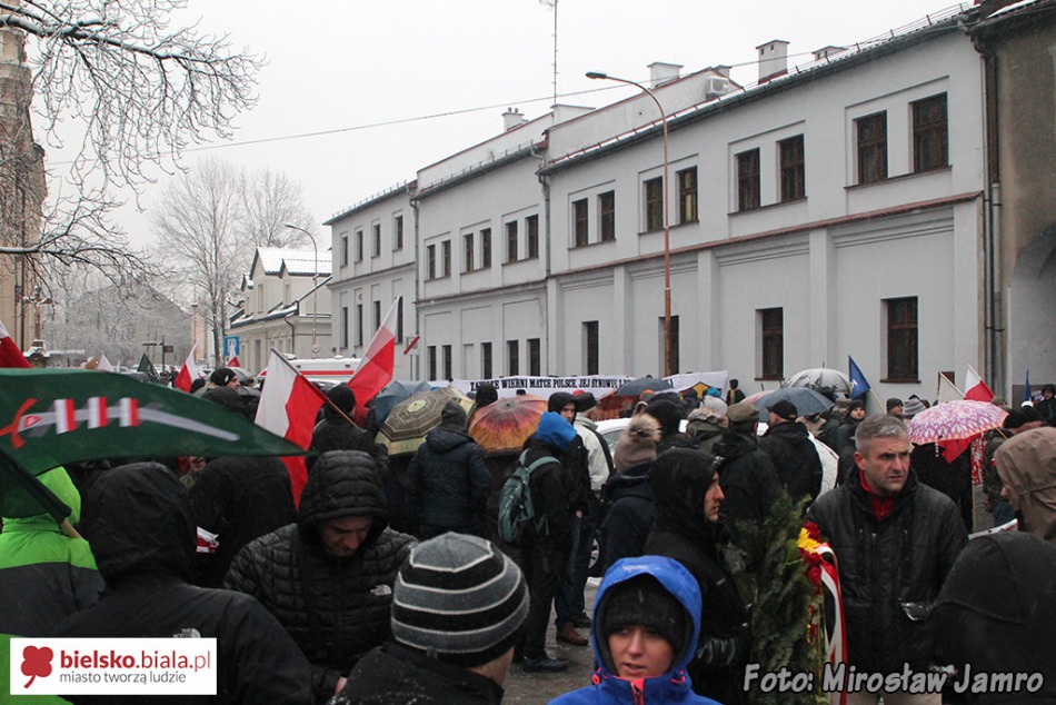 Szukają wyrazistych wzorów