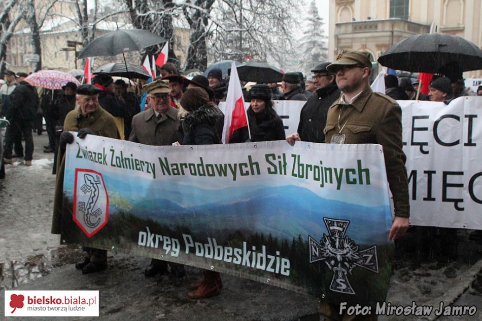 Szukają wyrazistych wzorów
