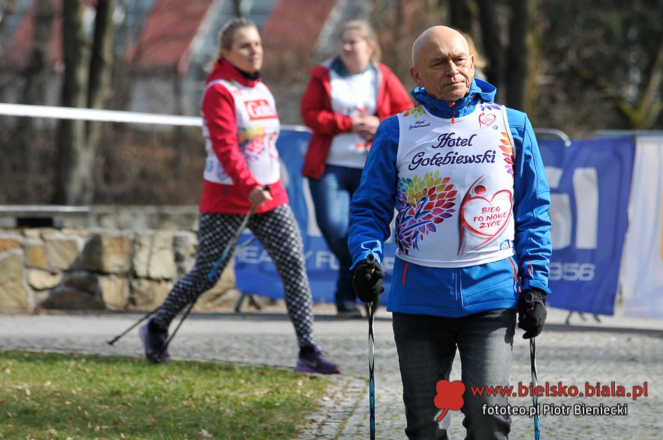 Gwiazdy biegają