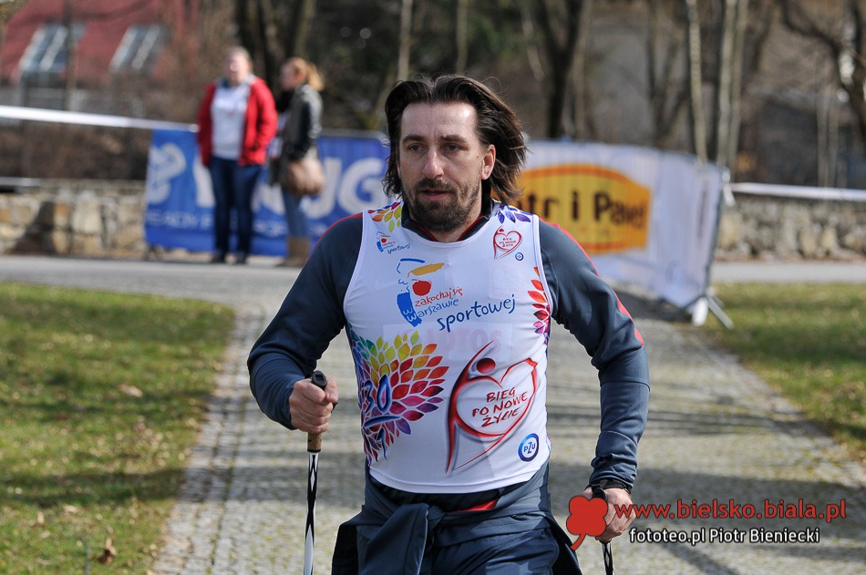 Gwiazdy biegają