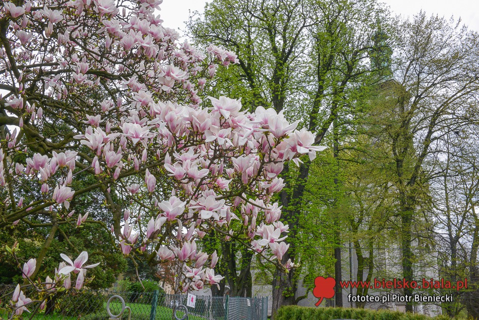 Znikająca atrakcja
