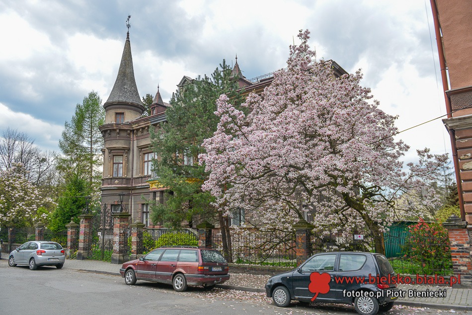 Znikająca atrakcja