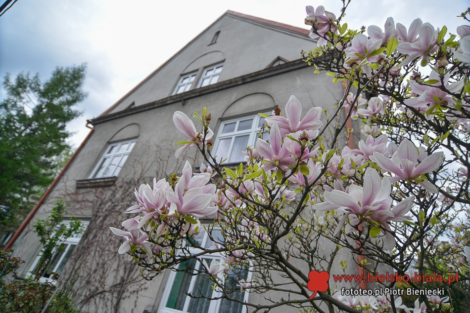 Znikająca atrakcja