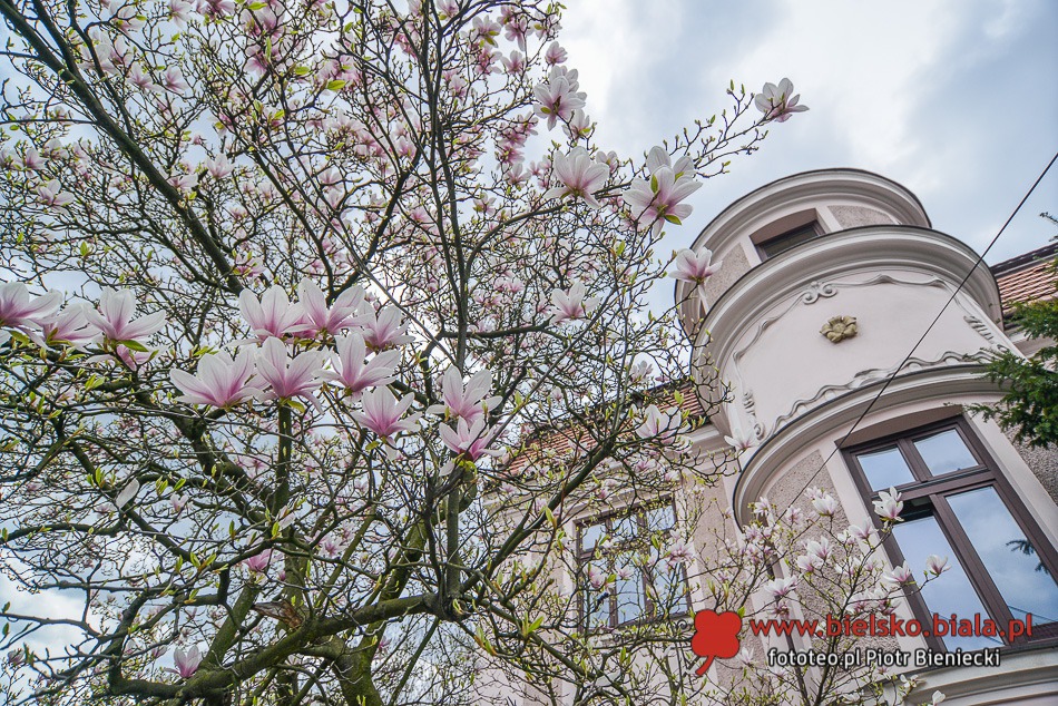 Znikająca atrakcja