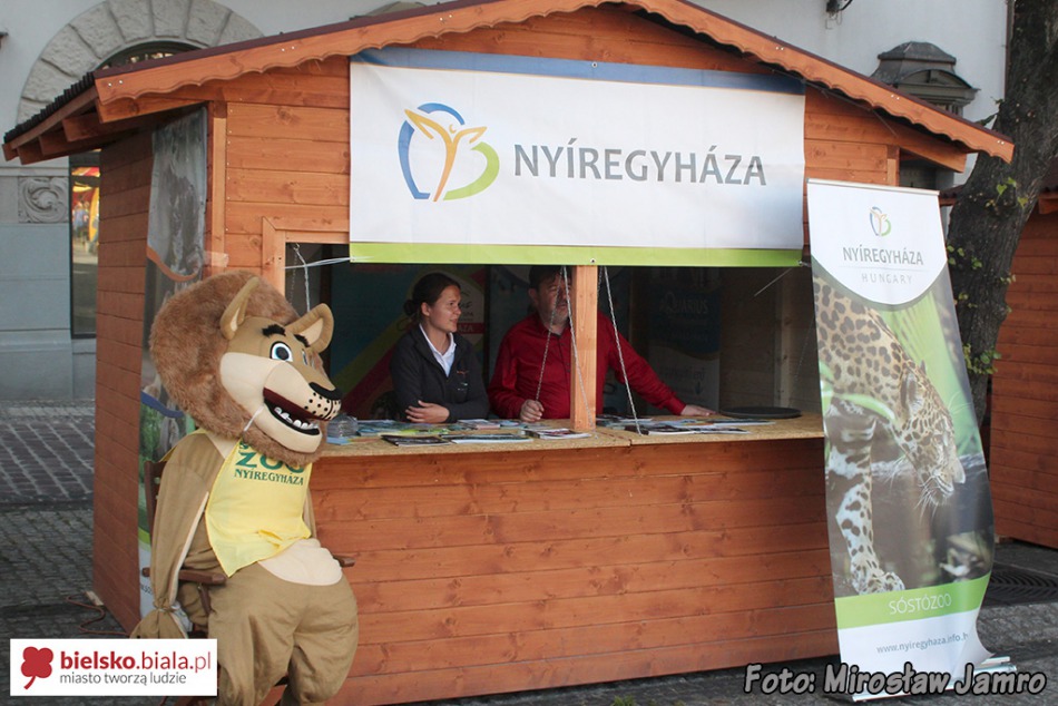 Festiwal czeka na publiczność - foto