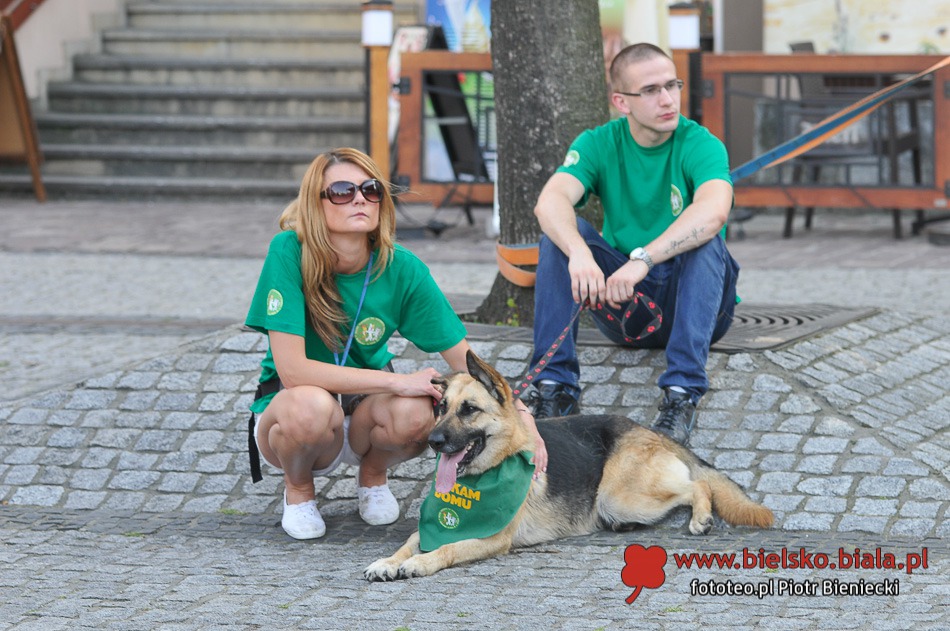 Psie święto na Rynku - foto