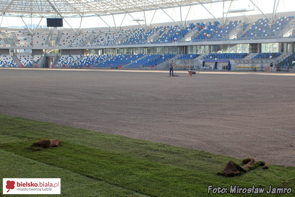 Węgierska murawa na stadionie - foto