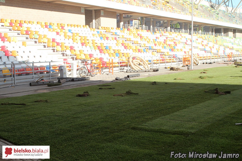 Węgierska murawa na stadionie - foto