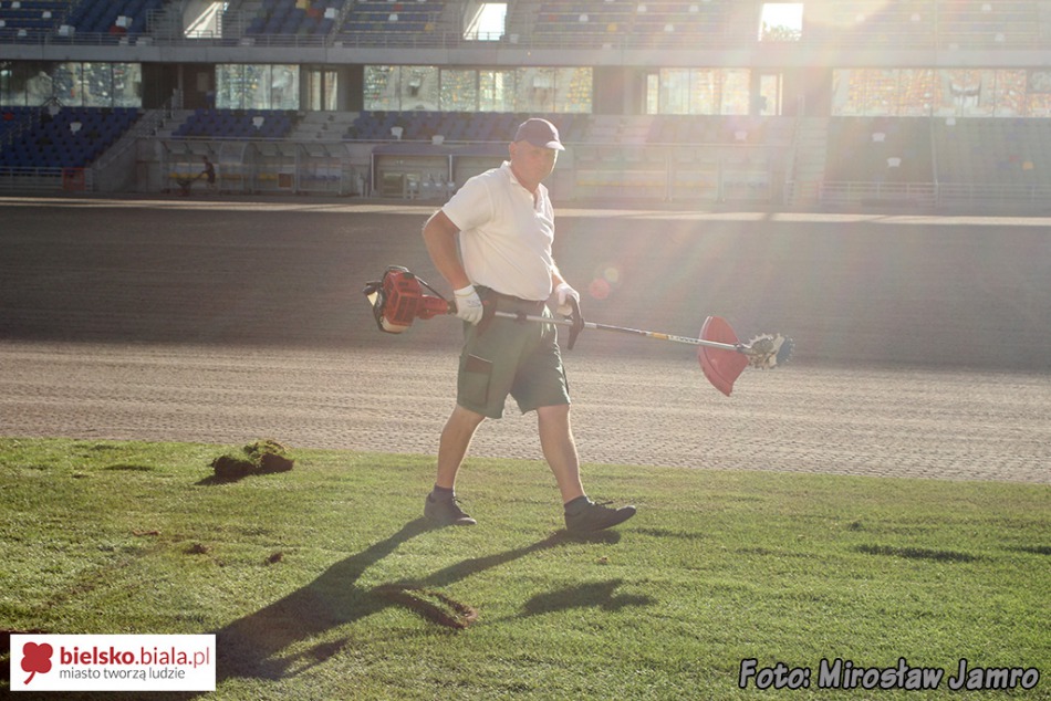 Węgierska murawa na stadionie - foto