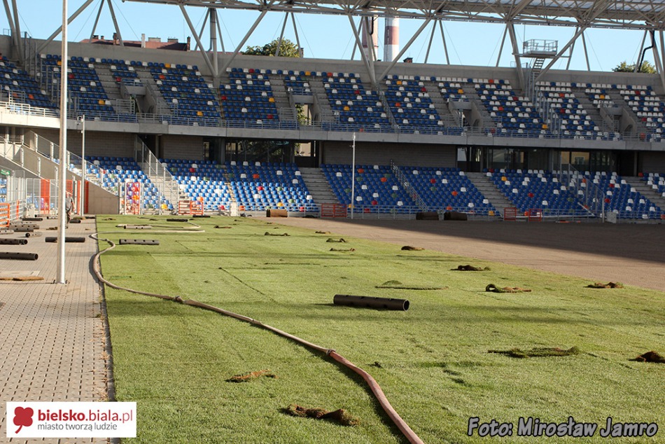 Węgierska murawa na stadionie - foto