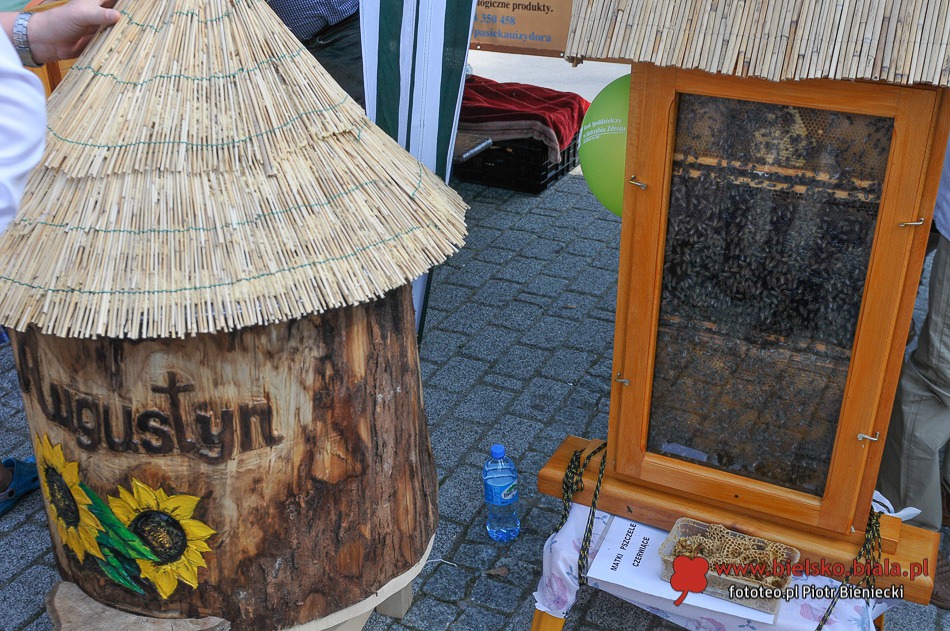 Wielkie święto dziękczynne - galeria