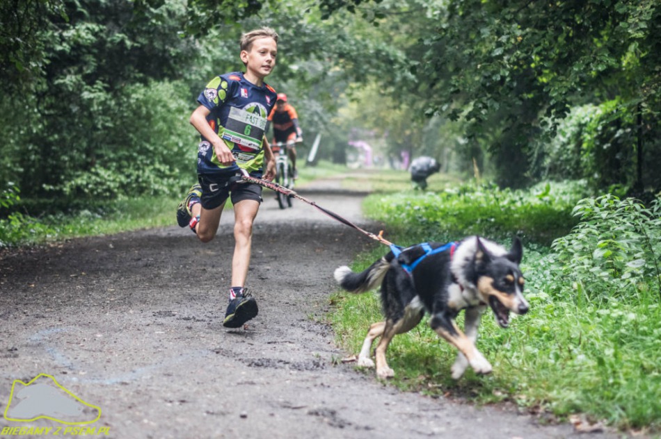 Szybki pies z ładną panią - foto