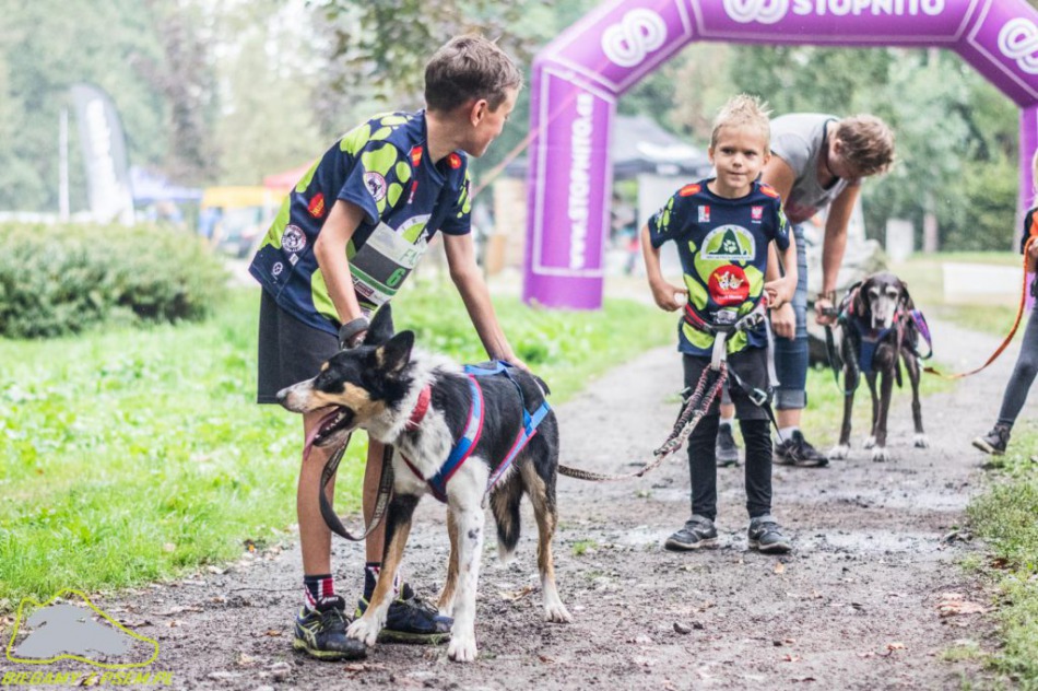 Szybki pies z ładną panią - foto