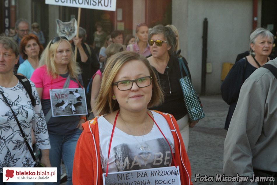 Kocia muzyka pod oknami prezydenta - foto