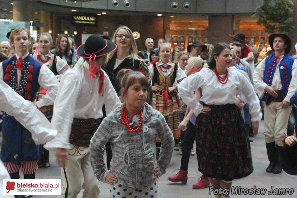 Taniec pingwina w galerii - foto