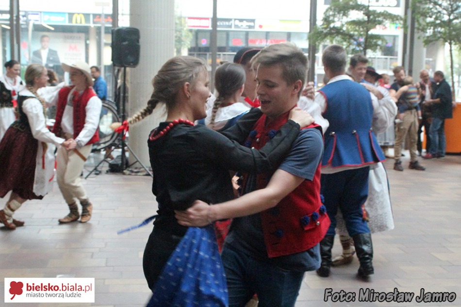 Taniec pingwina w galerii - foto