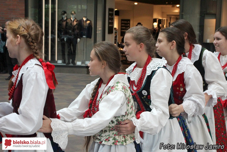 Taniec pingwina w galerii - foto