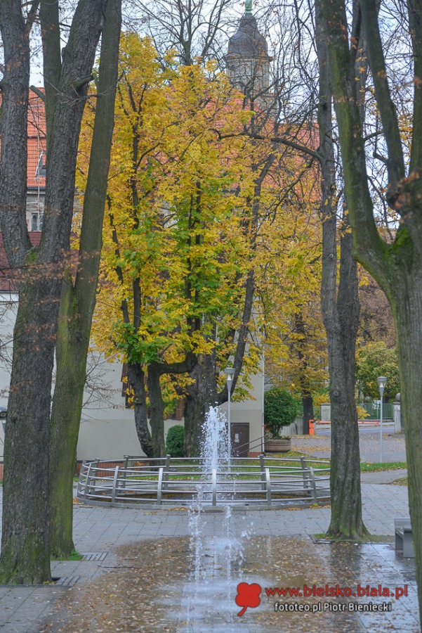Cudna jesień