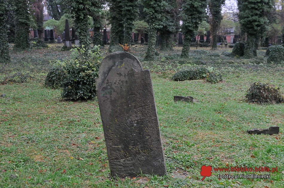Lekcja historii na cmentarzu - foto