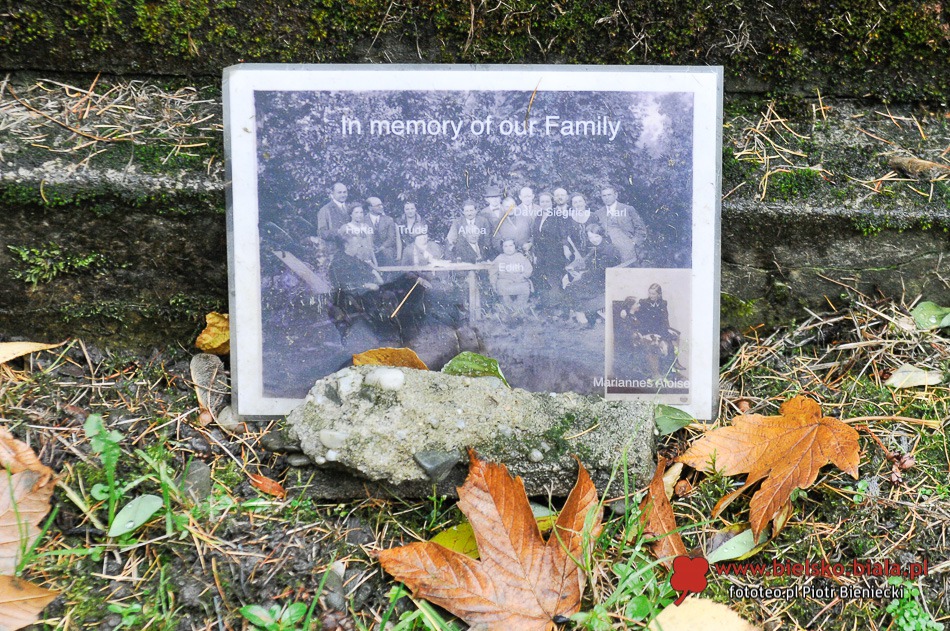 Lekcja historii na cmentarzu - foto