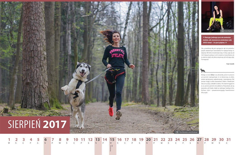 Sprawia przyjemność i pomaga - foto