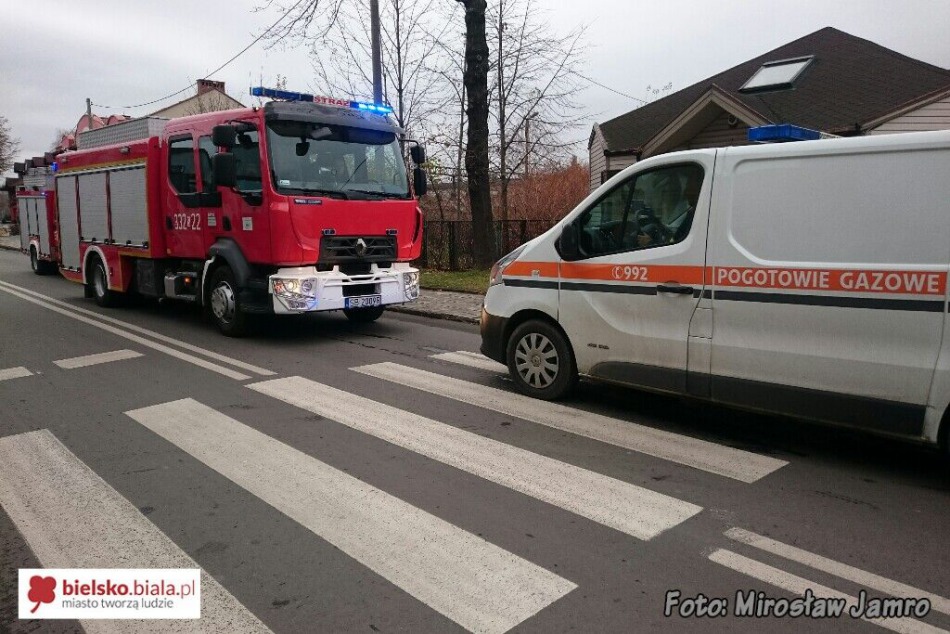 Desperat w zakładzie jubilerskim - foto