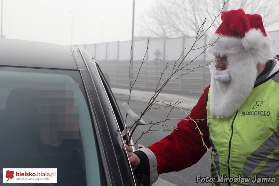 Rózgi zamiast mandatów - foto