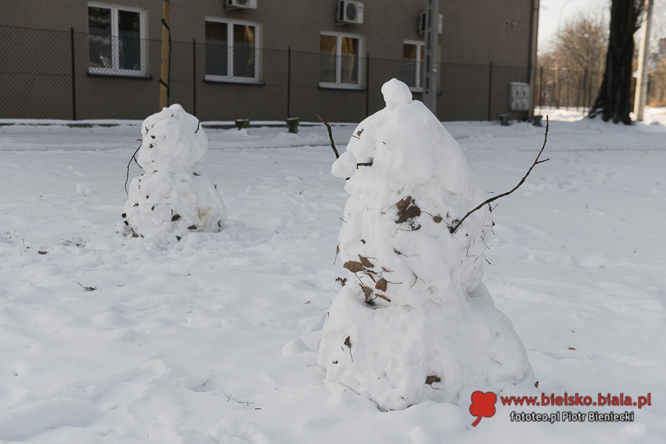 W arktycznym uścisku