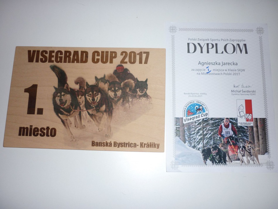 Chcą pomóc mistrzyni świata - foto