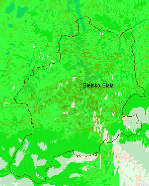 Czego nie możemy oglądać