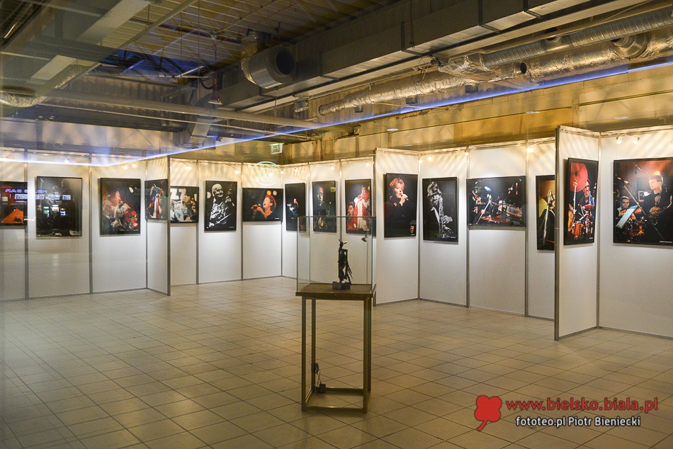 Nowość i rozczarowanie Zadymki - foto