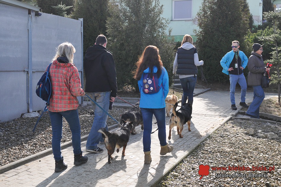Ostatni taki spacer?