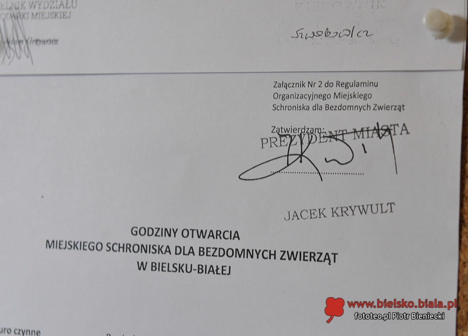 Ostatni taki spacer?