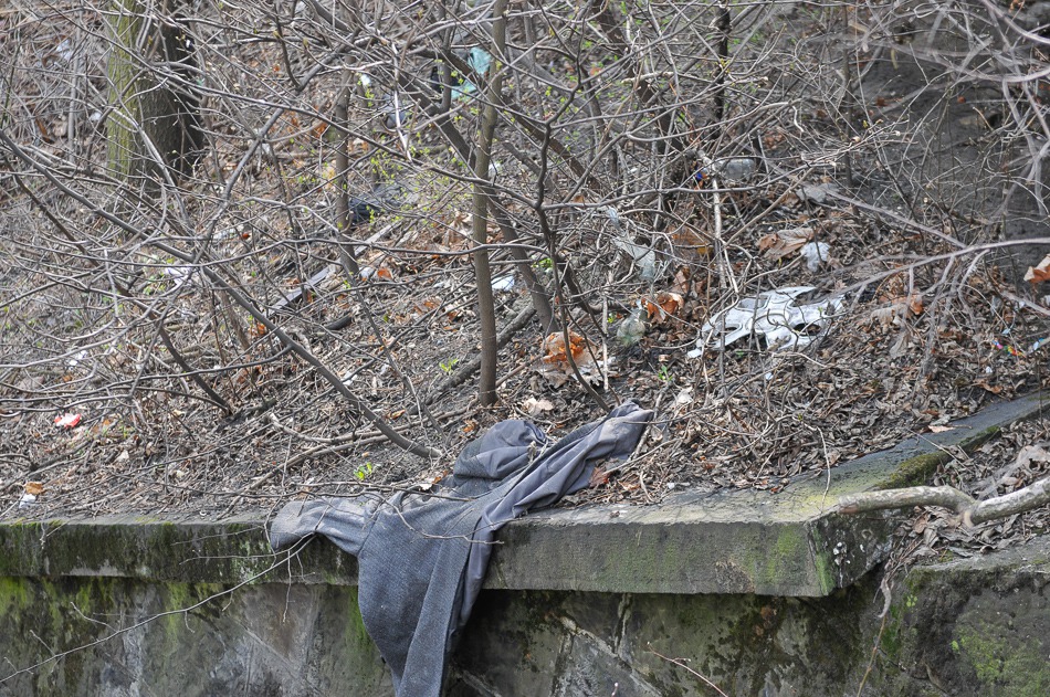 Filia wysypiska śmieci - foto