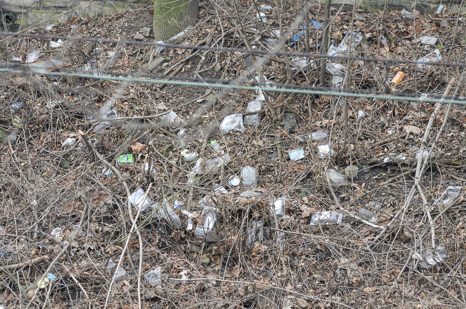 Filia wysypiska śmieci - foto
