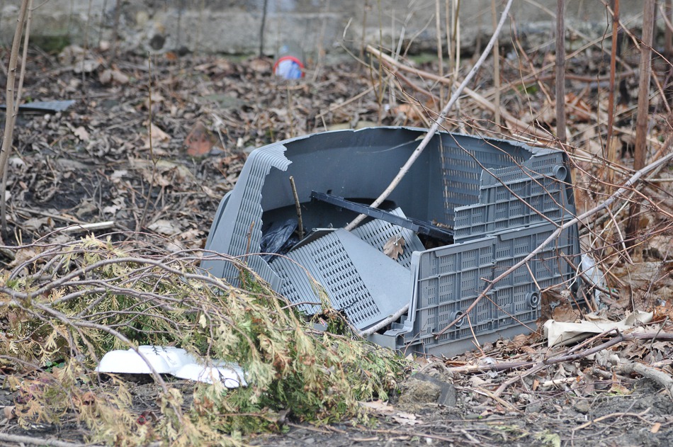 Filia wysypiska śmieci - foto