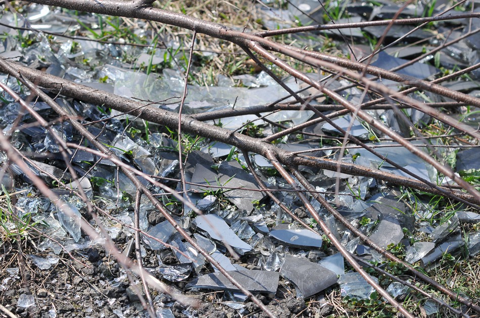 Czas na sprzątanie miasta - foto