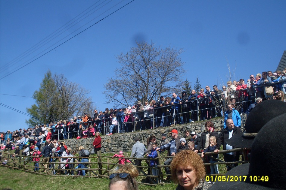 Koszą praktycznie bezgłośnie - foto